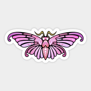 Chinese Moth Sticker